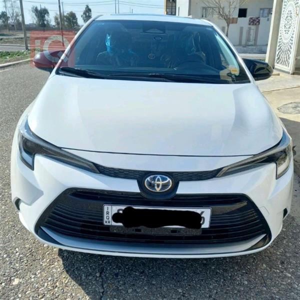 Toyota for sale in Iraq